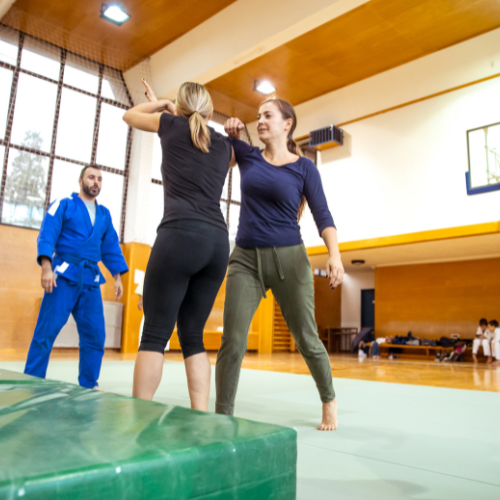 Corsi amdc a Vittorio Artena