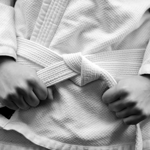 Corsi di Judo a Vittorio Artena